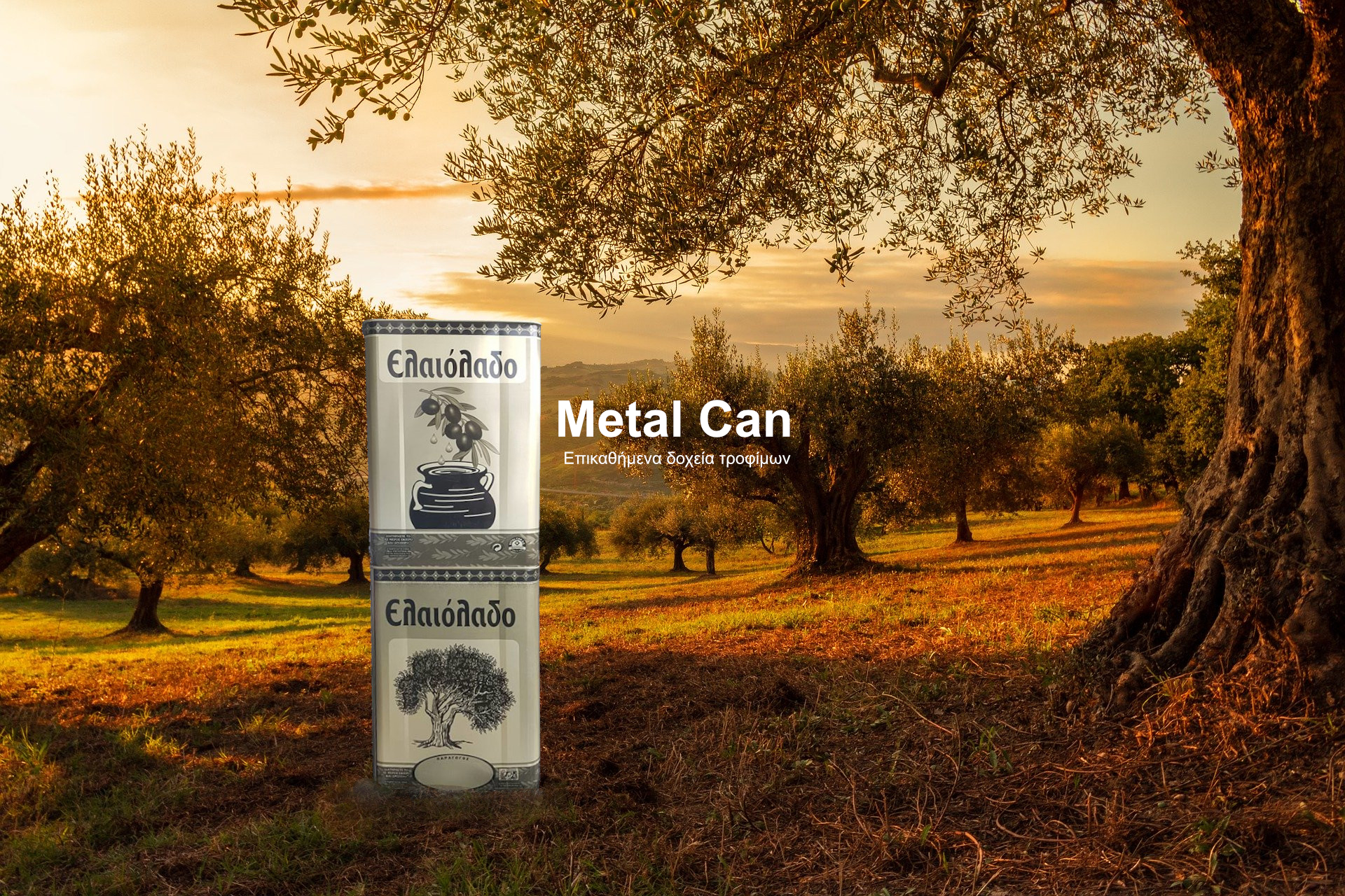 hero-img metalcan